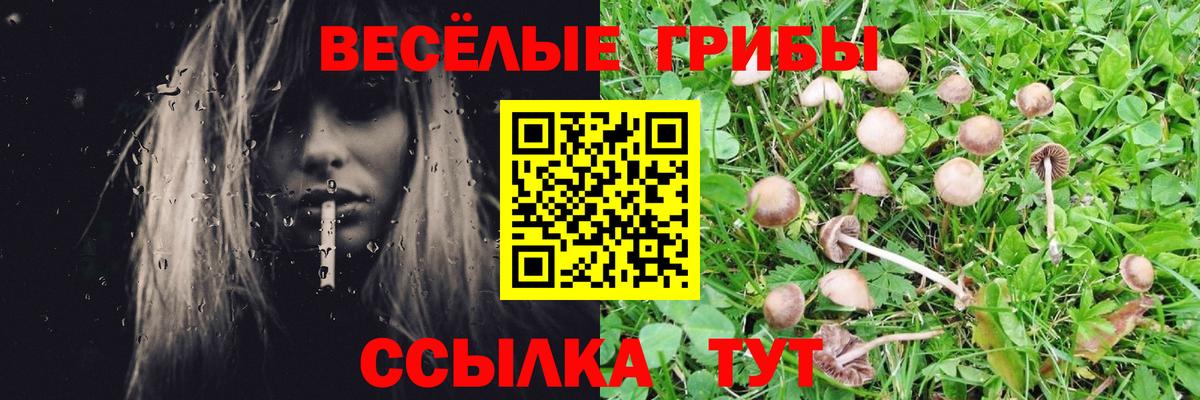 Галлюциногенные грибы мицелий Королёв