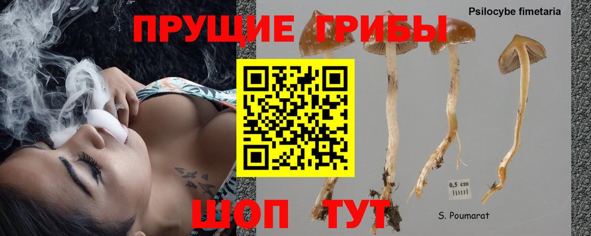 Галлюциногенные грибы ЛСД  Вход с VPN  Королёв  купить  сайты  Псилоцибиновые грибы Psilocybine cubensis 